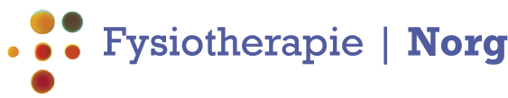 Fysiotherapie-Norg-logo-PB.jpg-1.png