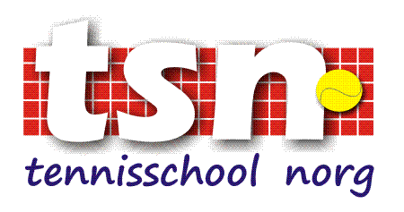 tsn_logo_small-1.gif